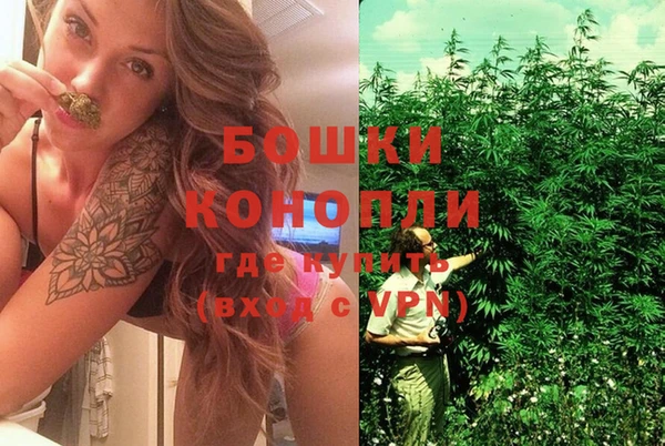 бошки Покачи