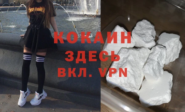 индика Абинск