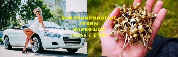 прущие крисы Алексин